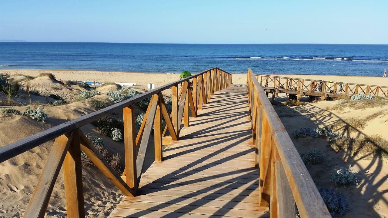 Urbanizacion Puerto Romano - Playa La Mata  Exterior photo