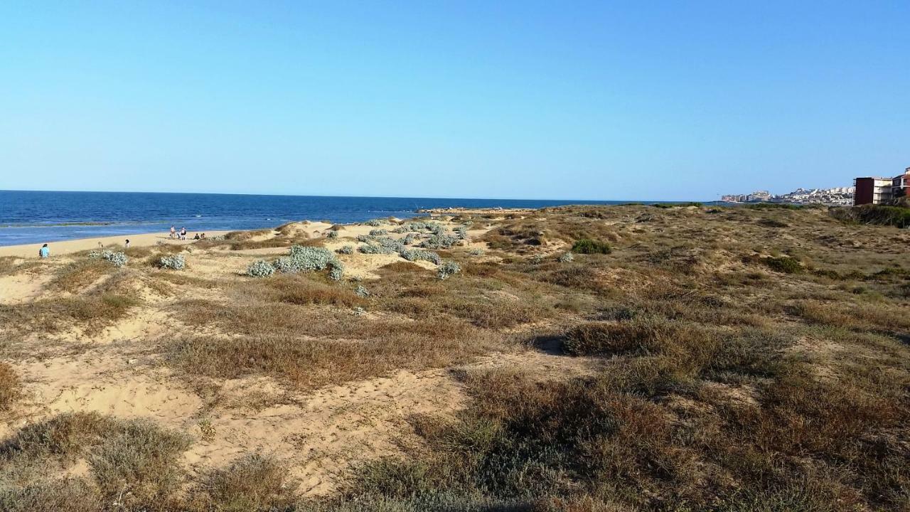 Urbanizacion Puerto Romano - Playa La Mata  Exterior photo